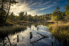 Spatenbräufilz im Herbst - Andy Ilmberger