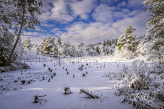Spatenbräufilz im Winter - Andy Ilmberger