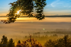 Schlederloh Morgennebel - Andy Ilmberger