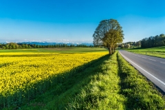 Landstrasse Richtung Alpen - Andy Ilmberger