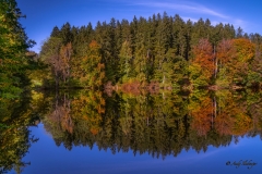 Thanninger Weiher - Andy Ilmberger