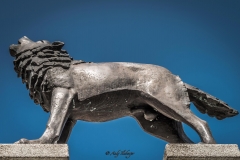 Wolfratshausen Wolf-Statue - Andy Ilmberger