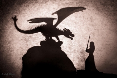 Schattenspiele Drachen vs Maid - Andy Ilmberger
