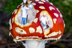 H0 Kleine Helden Fliegenpilz-Köche - Andy Ilmberger