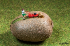 H0 Kleine Helden Kiwi - Andy Ilmberger