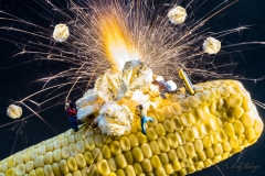 H0 Kleine Helden Popcorn - Andy Ilmberger