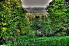 Lost-Places_Icking_Schanze-11_2048_Andy Ilmberger