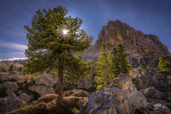 Sonnenstern in den Alpen Südtirols - Andy Ilmberger 408832