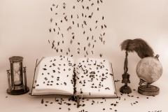Fliegende Buchstaben - Andy Ilmberger